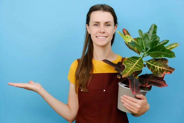 Portrait Cute Young Woman Florist Holding Green Plant Positive Looking — Stock Photo, Image