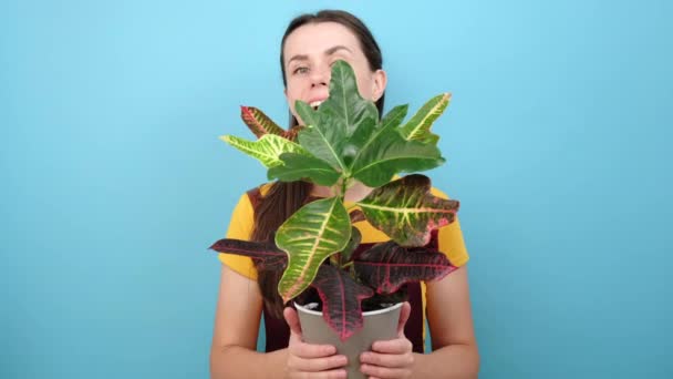 Πορτρέτο Του Αστείο Χαμογελαστό Νεαρή Γυναίκα Κρατώντας Κατσαρόλα Πράσινο Φυτό — Αρχείο Βίντεο