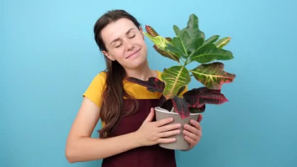 Retrato Florista Jovem Sonhadora Fecha Olhos Abraça Pote Planta Sala — Vídeo de Stock
