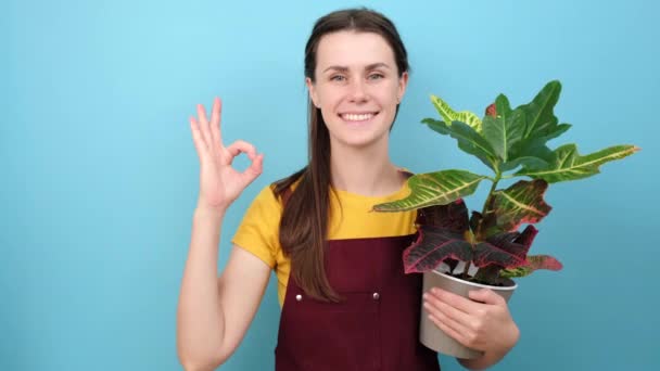 Happy Attractive Young Woman Florist Holding Green Plant Showing Gesture — Stock Video