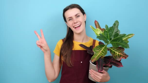 Portrait Cheerful Young Brunette Woman Wearing Gardener Apron Holding Green — Stock Video