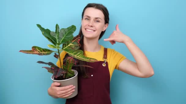 一个快乐的年轻园艺师女人的画像 她用手指打手机 美丽的黑发女花匠拿着绿色的植物 在工作室的蓝色背景墙上摆出隔离的姿势 — 图库视频影像