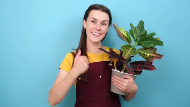 Retrato Amigável Bonito Jovem Florista Segurando Planta Verde Feliz Olhando — Vídeo de Stock