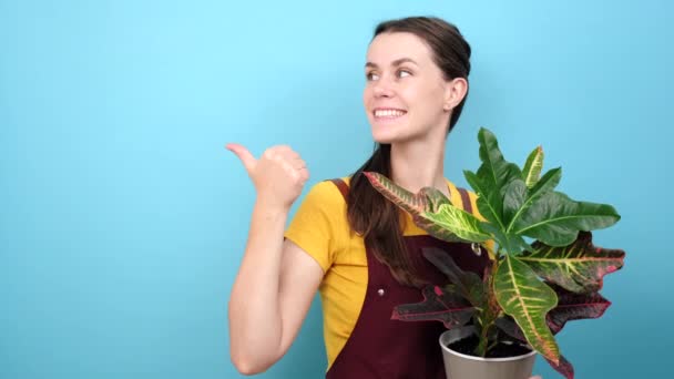 Charmerende Smukke Unge Brunette Blomsterhandler Peger Væk Med Tommelfinger Viser – Stock-video