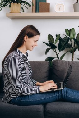 Genç bir kadının oturma odasındaki kanepede oturup dizüstü bilgisayarda çalışırken dikey görüntüsü. Evdeki kanepede tatlı bir kadın var. Cihazdaki bilgisayar ekranı mesajlarına bak. İletişim ve başlangıç kavramı