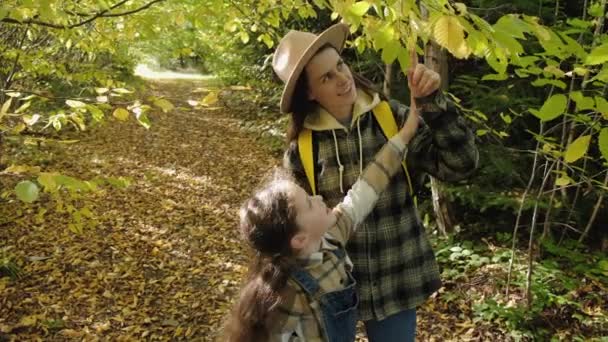 帽子の幸せな若い母親と美しい秋の森の中を歩く愛らしい娘は ハイキング中に穏やかな晴れた日をお楽しみください 家族旅行者は屋外で時間を過ごす 欲望と冒険の概念 — ストック動画