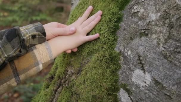 Matka Dcera Jemně Dotýkají Kůry Stromů Pokryté Zeleným Bujným Mechem — Stock video