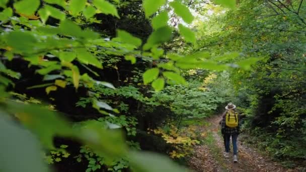 Zadní Pohled Rodinu Kráčející Krásné Podzimní Lesní Cestě Společně Cestování — Stock video