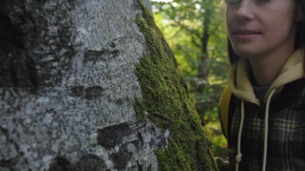 Close Jovem Mulher Bonito Delicadamente Tocar Casca Árvore Coberto Musgo — Vídeo de Stock
