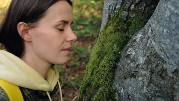 Close Bela Jovem Morena Toque Casca Árvore Suavemente Velha Conexão — Vídeo de Stock