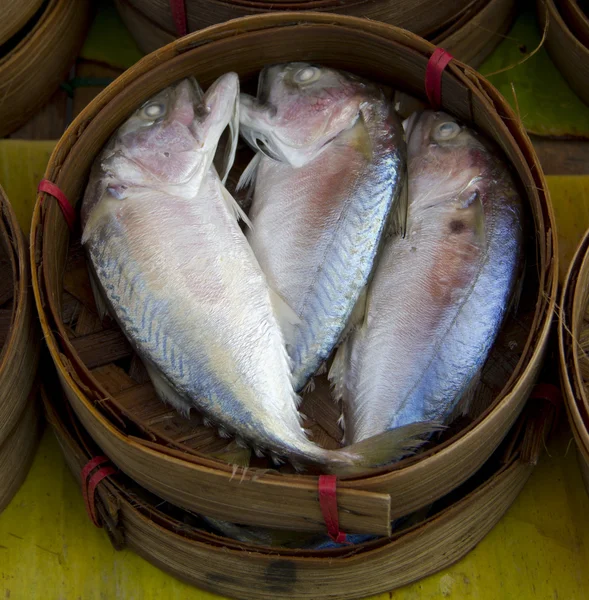 Mackerel Fish in Bamboo Basket — Stock Photo, Image