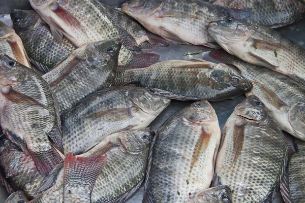 Tilapia fishes at Thailand market — Stock Photo, Image