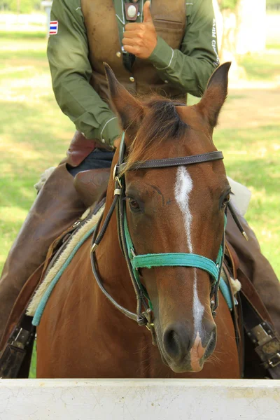 Detail van een cowboy op paard — Stockfoto