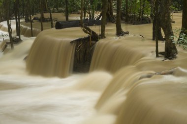 şelale orman, Tayland