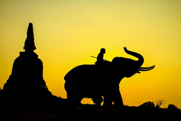 Silhouette action of elephant in Ayutthaya Province, thailand. — Stock Photo, Image