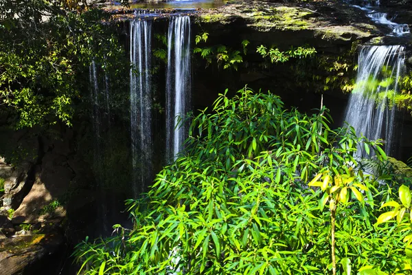 Водопад в глубоком лесу — стоковое фото