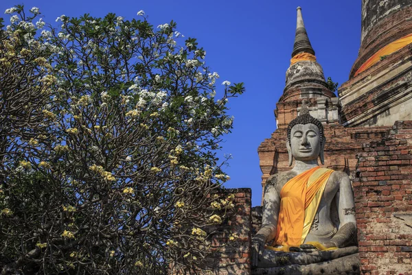 Maravilhoso Pagode Wat Chaiwattanaram Templo — Fotografia de Stock