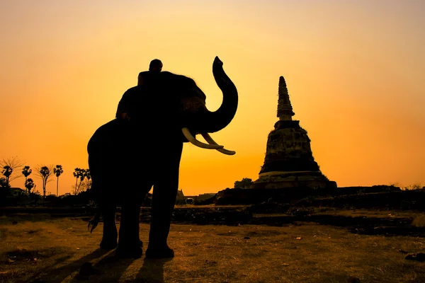 Thailändische Landschaft bei Sonnenuntergang in Thailand — Stockfoto