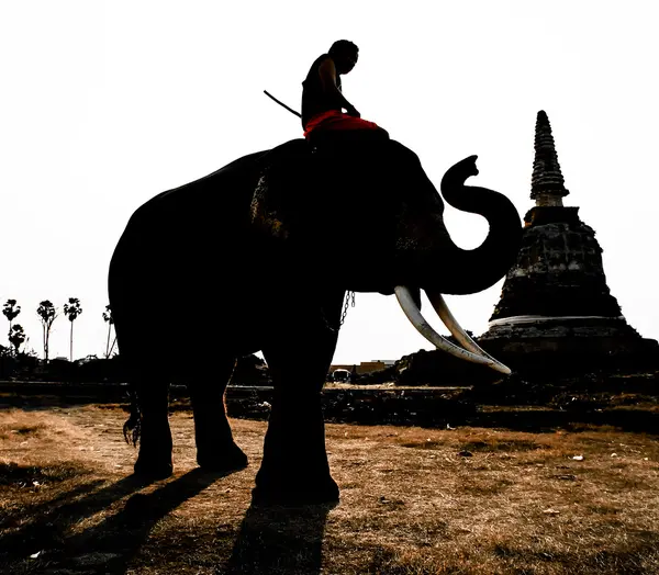 Zonsondergang Thais platteland in Thailand — Stockfoto