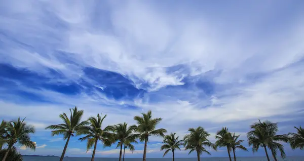 구름과 화려한 푸른 하늘에 대 한 코코넛 나무 — 스톡 사진