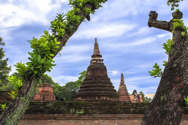 Bela paisagem do Parque Histórico de Sukhothai — Fotografia de Stock