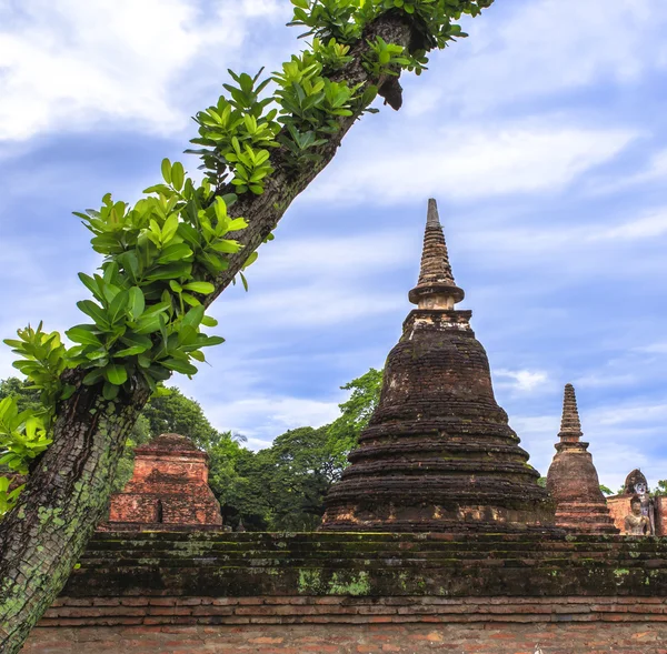 Vacker natur med Mahathat tempel Stockbild