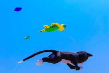 Tayland Uluslararası Uçurtma Şenliği