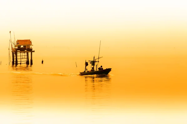 Fishermen collecting shellfish at cockle farming — Stock Photo, Image