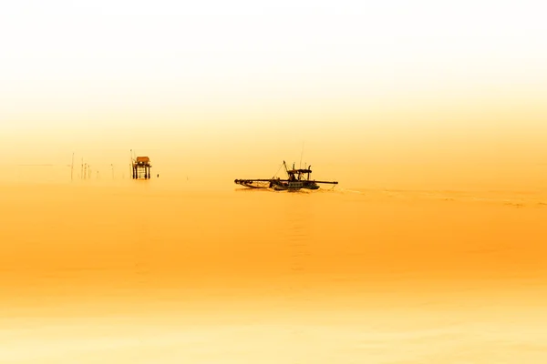 Vissers verzamelen van schelpdieren op kokkel landbouw gebied in de zee — Stockfoto