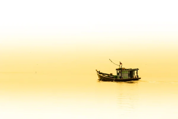 Fishermen collecting shellfish at cockle farming — Stock Photo, Image