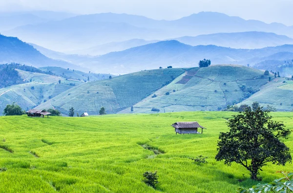 Terraços de arroz Na montanha rural Fotos De Bancos De Imagens