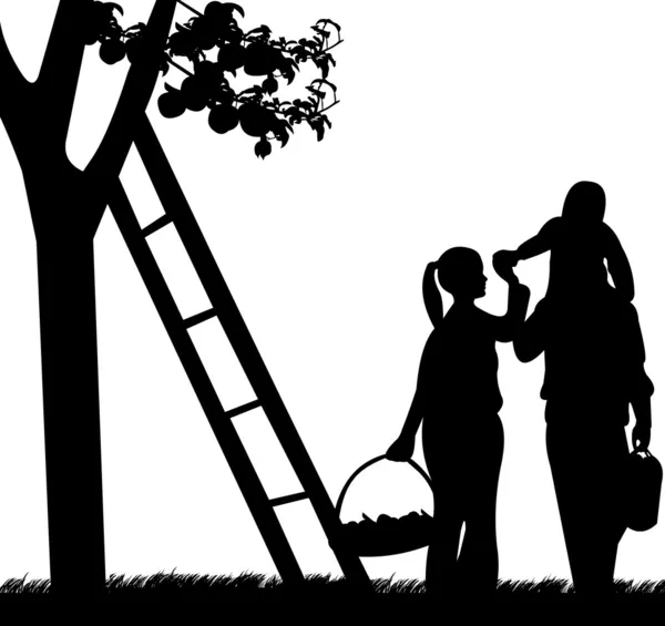 Cueillette familiale de pommes à partir d'une silhouette de pommier — Image vectorielle