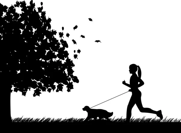 Ragazza che gestisce un cane nel parco in autunno o caduta silhouette — Vettoriale Stock
