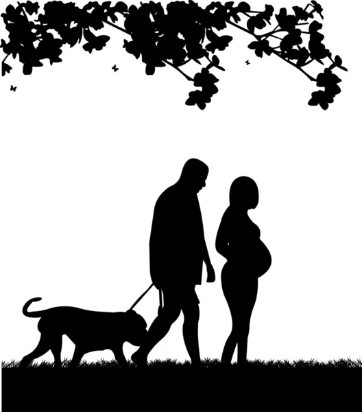 Hamile kadın ve kocası bahar siluet parkında Köpeğiyle yürüyen — Stok Vektör