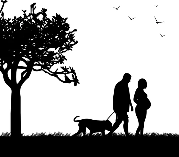 Pregnant woman and her husband walking with his dog in the park in spring silhouette — Stock Vector