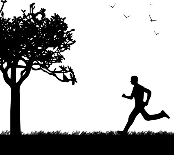 Uomo che corre nel parco in primavera silhouette — Vettoriale Stock