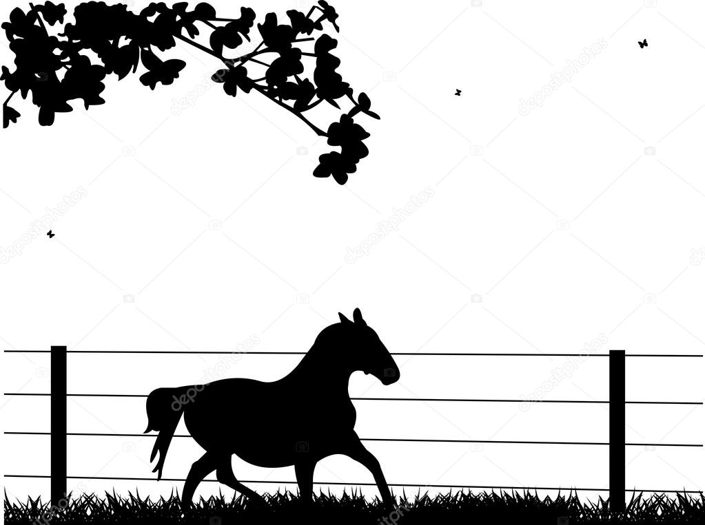 Horse running on grassland in spring silhouette