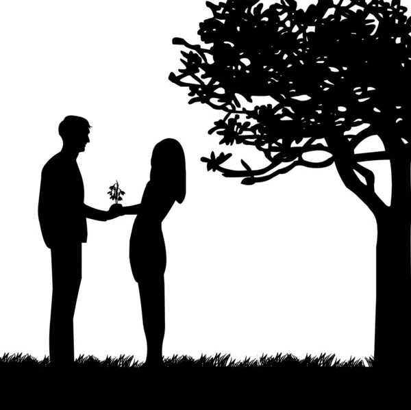 Man gives a woman flowers, bouquet snowdrops in park Royalty Free Stock Vectors