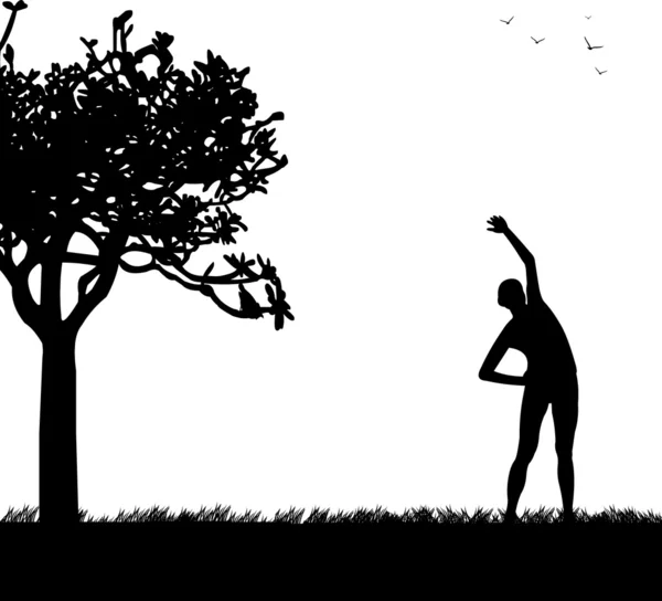 Chica bonita ejercitando flexibilidad con postura de estiramiento en primavera al aire libre en la silueta del parque — Archivo Imágenes Vectoriales