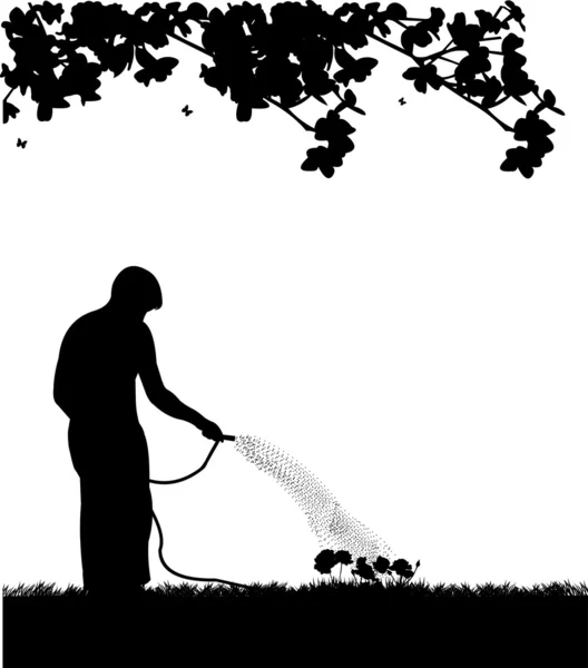 Jardineiro homem regando flores, rosas com silhueta mangueira — Vetor de Stock