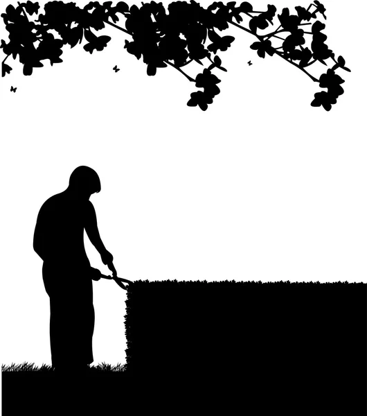 Gardener trimming a bush or tree or hedges with big shears silhouette — Stock Vector