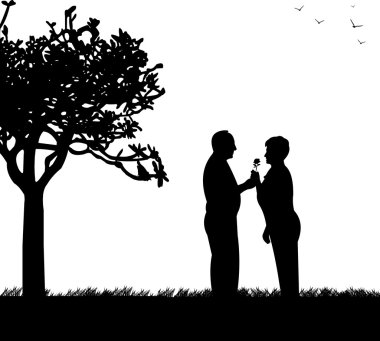 nerede bir kadın çiçek Park adam verir yaşlı çiftin güzel emekli