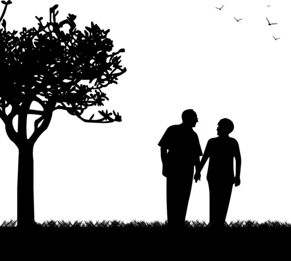 素敵な公園を歩く高齢者のカップルを引退 — ストックベクタ