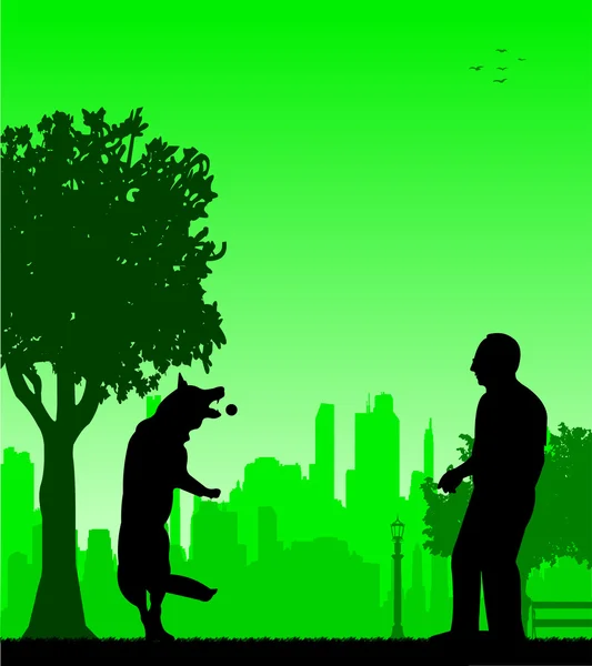 Hombre jugando con su perro en la silueta del parque en capas — Vector de stock