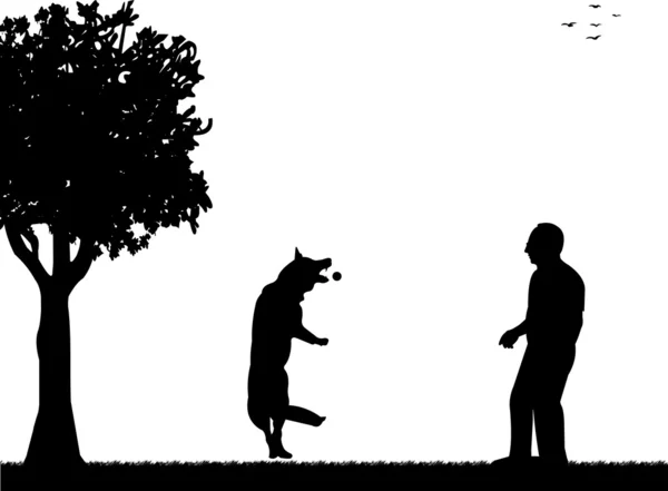 Hombre jugando con su perro en la silueta del parque en capas — Vector de stock