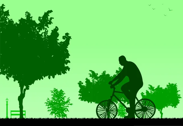 Hombre paseo en bicicleta en el parque en la silueta de primavera — Vector de stock