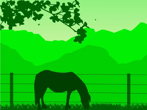 Caballo en pastizales en primavera en montaña — Vector de stock