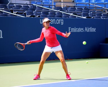 Christina mchale uygulamaları bizim için açık billie jean king profesyonel tenisçi Ulusal Tenis Merkezi