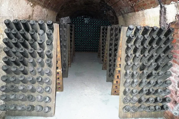 Champagne bottles stored in a cellar during riddling — Stock Photo, Image