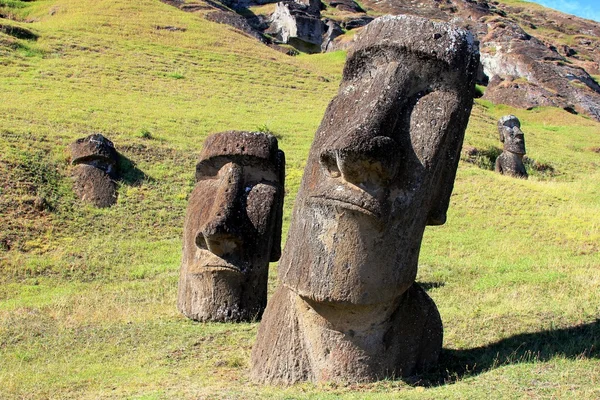 Моаї в кар'єр, острів Пасхи, Чилі — стокове фото